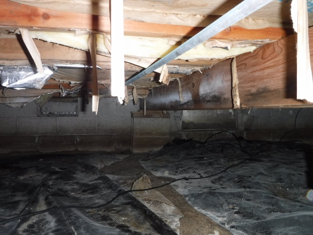 Crawlspace before renovation